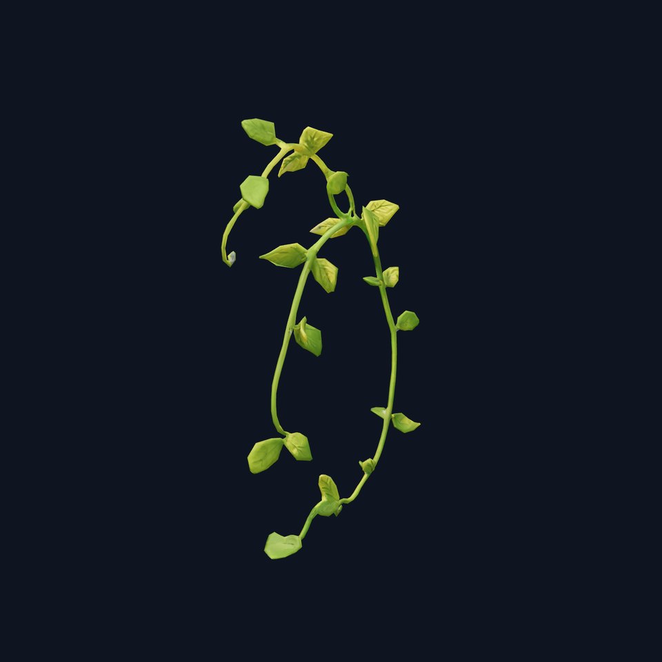 Vibrant Leafy Vine model pack